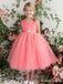Elegant Hot Pink V-neck A-line Long Flower Girl Dress, FGS188