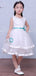 White Tulle Applique Beading Tiered Teal Belt Flower Girl Dresses, FGS118