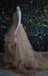 Elegant V-neck Sleeveless A-line Long Prom Dress, PD3570